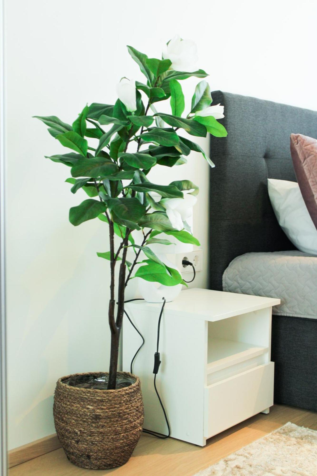 Dzīvoklis Skyresidence Luxury With & Garden View Tallinn